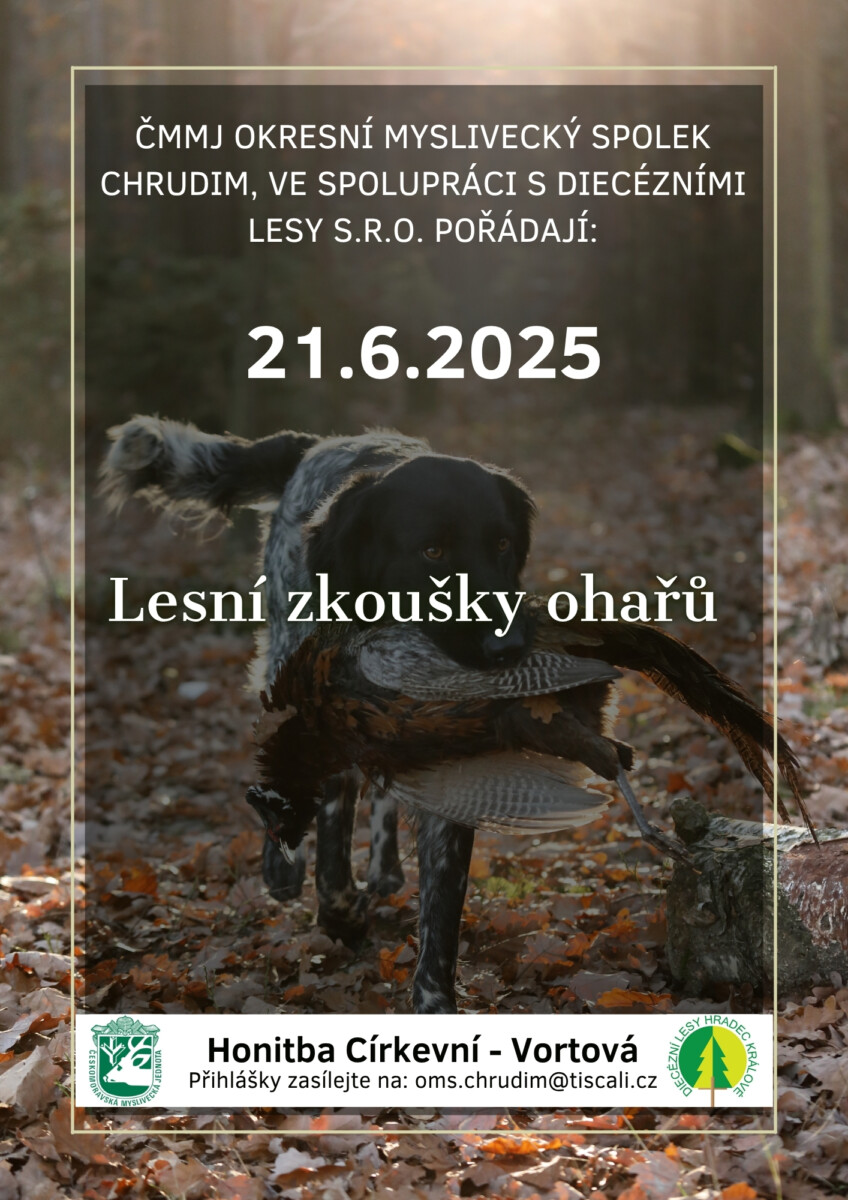 Lesní zkoušky ohařů a ostatních plemen 21.6.2025